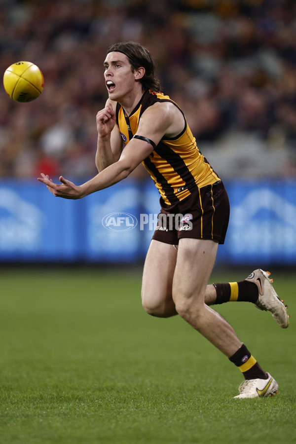 AFL Rd 9 - Hawthorn v Melbourne - A-1504911