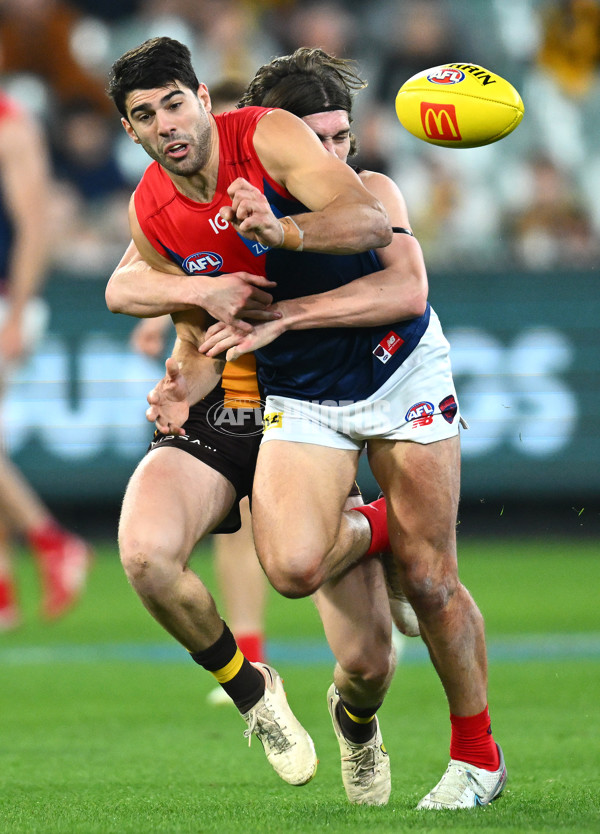 AFL Rd 9 - Hawthorn v Melbourne - A-1504912