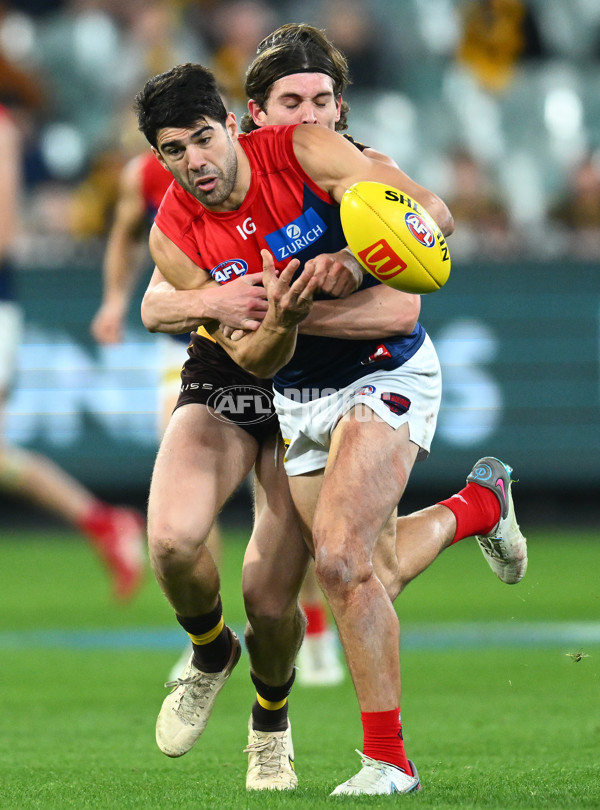 AFL Rd 9 - Hawthorn v Melbourne - A-1504913