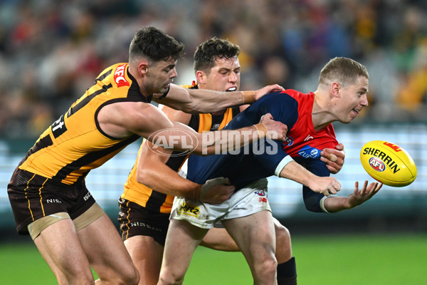 AFL Rd 9 - Hawthorn v Melbourne - A-1504935