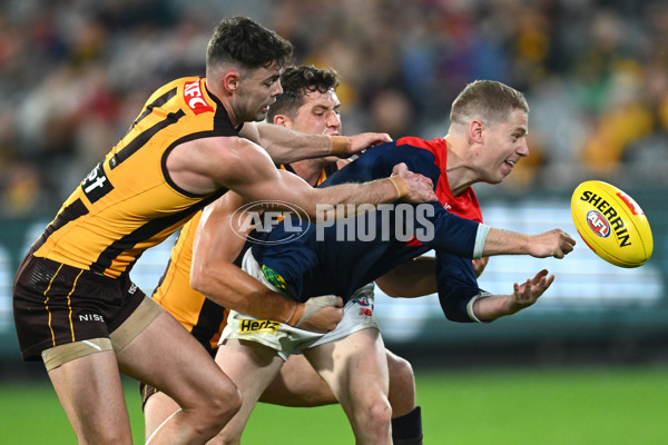 AFL Rd 9 - Hawthorn v Melbourne - A-1504936