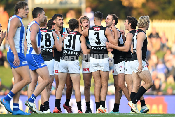 AFL Rd 9 - North Melbourne v Port Adelaide - A-1507359