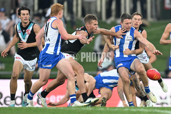 AFL Rd 9 - North Melbourne v Port Adelaide - A-1507362