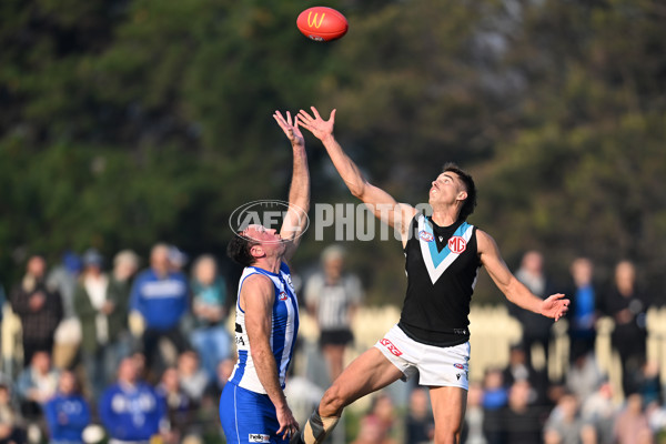 AFL Rd 9 - North Melbourne v Port Adelaide - A-1507384