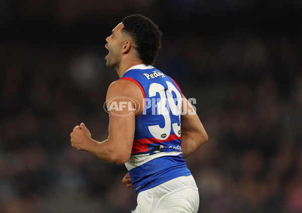 AFL Rd 9 - Carlton v Western Bulldogs - A-1507410