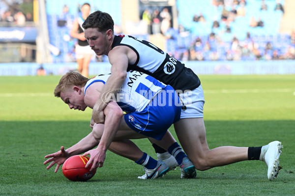 AFL Rd 9 - North Melbourne v Port Adelaide - A-1508454