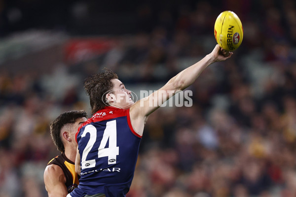 AFL Rd 9 - Hawthorn v Melbourne - A-1508504