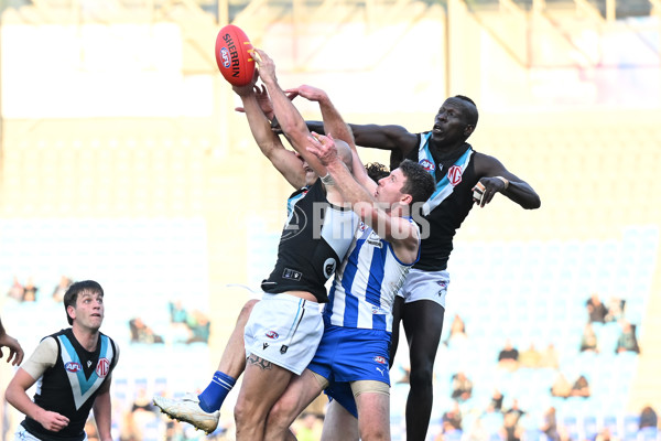 AFL Rd 9 - North Melbourne v Port Adelaide - A-1510399