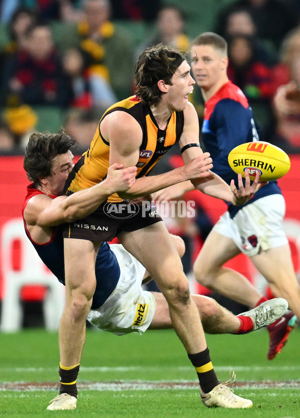 AFL Rd 9 - Hawthorn v Melbourne - A-1510400