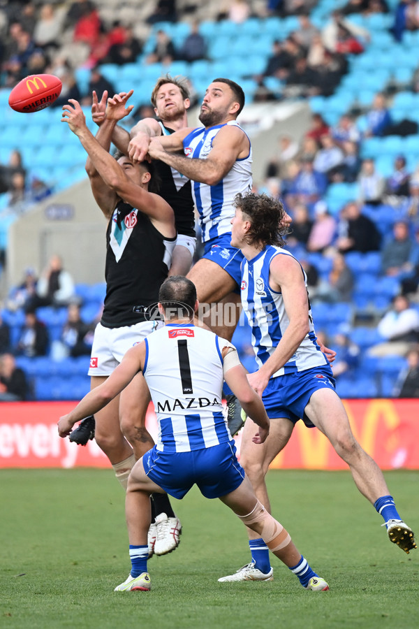 AFL Rd 9 - North Melbourne v Port Adelaide - A-1510415