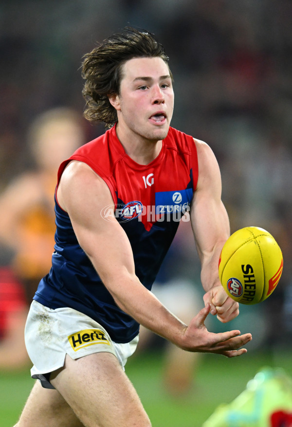 AFL Rd 9 - Hawthorn v Melbourne - A-1511164