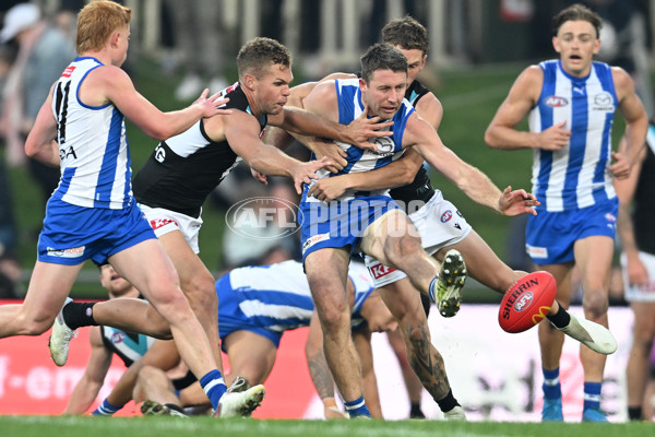 AFL Rd 9 - North Melbourne v Port Adelaide - A-1511176