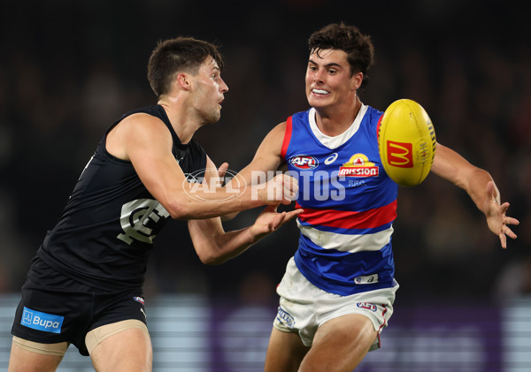 AFL Rd 9 - Carlton v Western Bulldogs - A-1514005