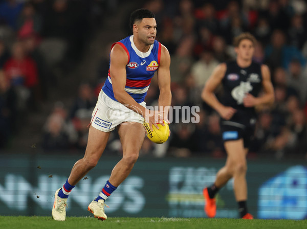 AFL Rd 9 - Carlton v Western Bulldogs - A-1514060