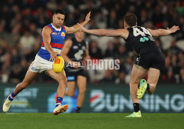 AFL Rd 9 - Carlton v Western Bulldogs - A-1514062