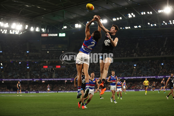 AFL Rd 9 - Carlton v Western Bulldogs - A-1514085