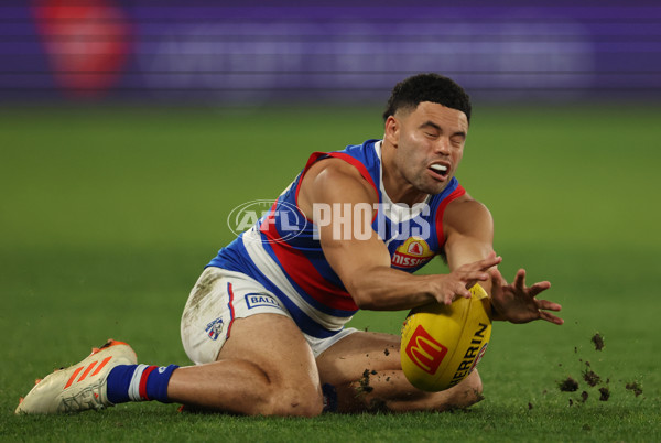 AFL Rd 9 - Carlton v Western Bulldogs - A-1514086