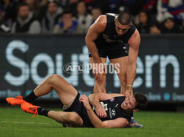 AFL Rd 9 - Carlton v Western Bulldogs - A-1517244