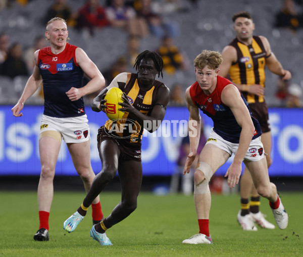 AFL Rd 9 - Hawthorn v Melbourne - A-1517251