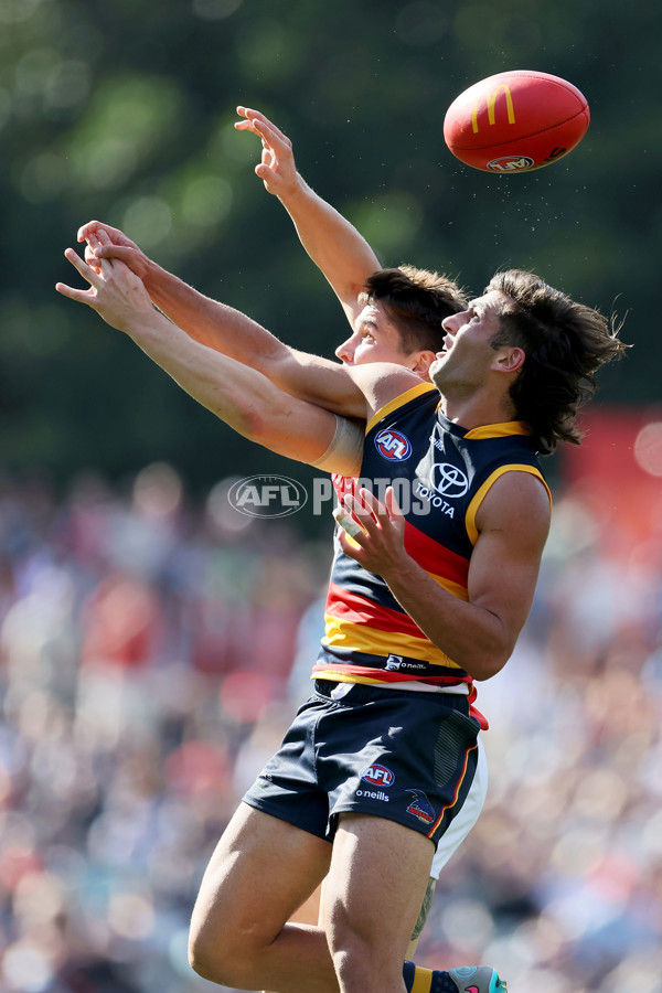 AFL Rd 9 - Adelaide v St Kilda - A-1523946