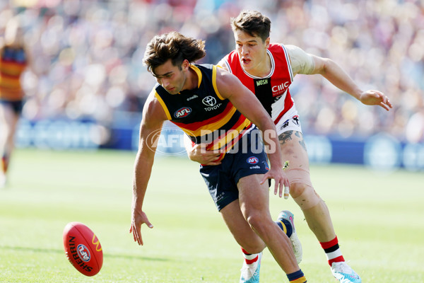 AFL Rd 9 - Adelaide v St Kilda - A-1523947