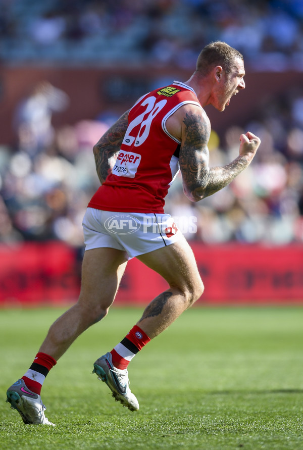 AFL Rd 9 - Adelaide v St Kilda - A-1526722