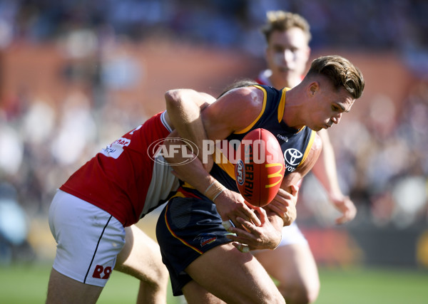 AFL Rd 9 - Adelaide v St Kilda - A-1528824