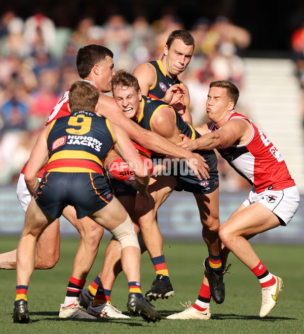 AFL Rd 9 - Adelaide v St Kilda - A-1533190