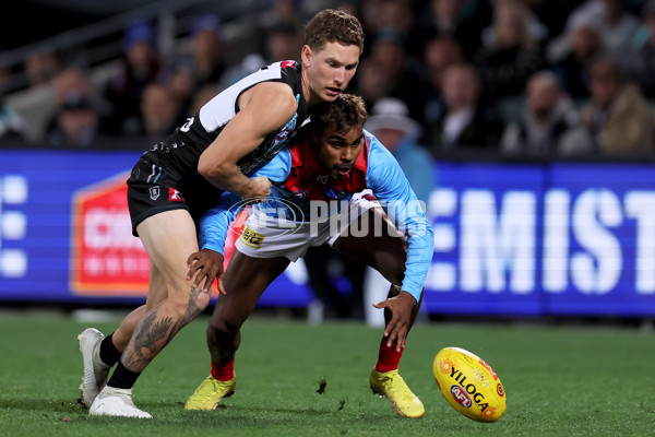 AFL 2023 Round 10 - Yartapuulti v Narrm - A-1554712