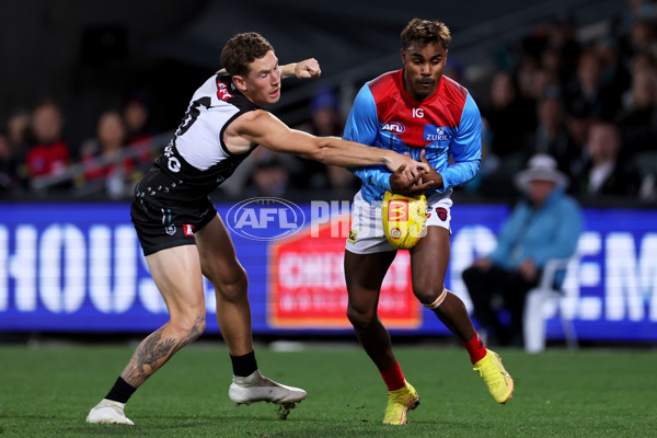AFL 2023 Round 10 - Yartapuulti v Narrm - A-1554713