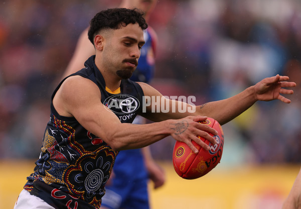 AFL 2023 Round 10 - Western Bulldogs v Adelaide - A-1566183