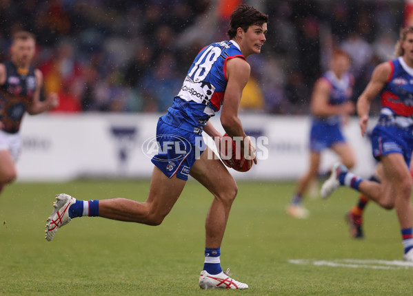 AFL 2023 Round 10 - Western Bulldogs v Adelaide - A-1569648
