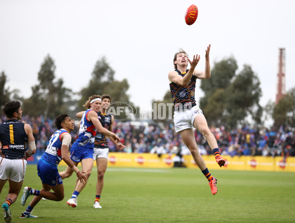 AFL 2023 Round 10 - Western Bulldogs v Adelaide - A-1569652