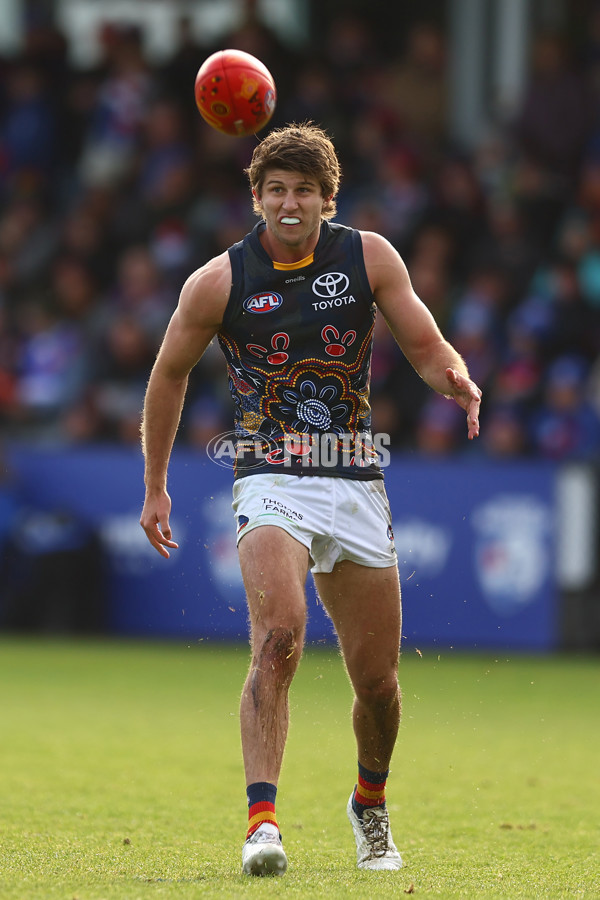 AFL 2023 Round 10 - Western Bulldogs v Adelaide - A-1575603