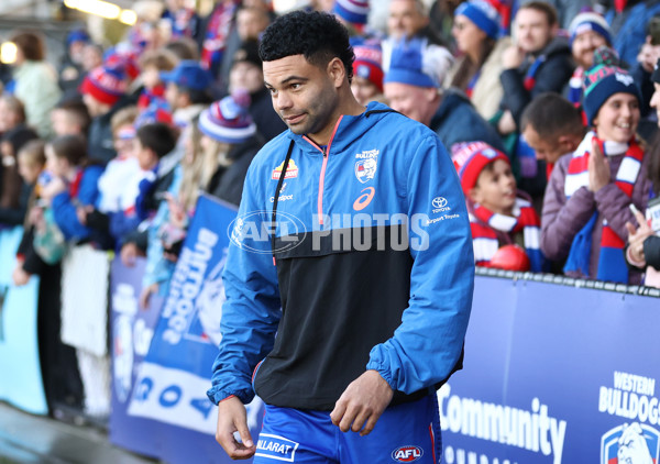 AFL 2023 Round 10 - Western Bulldogs v Adelaide - A-1578665