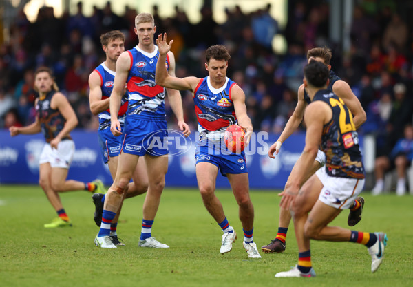 AFL 2023 Round 10 - Western Bulldogs v Adelaide - A-1578684