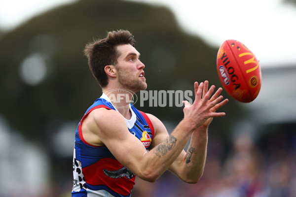 AFL 2023 Round 10 - Western Bulldogs v Adelaide - A-1578685