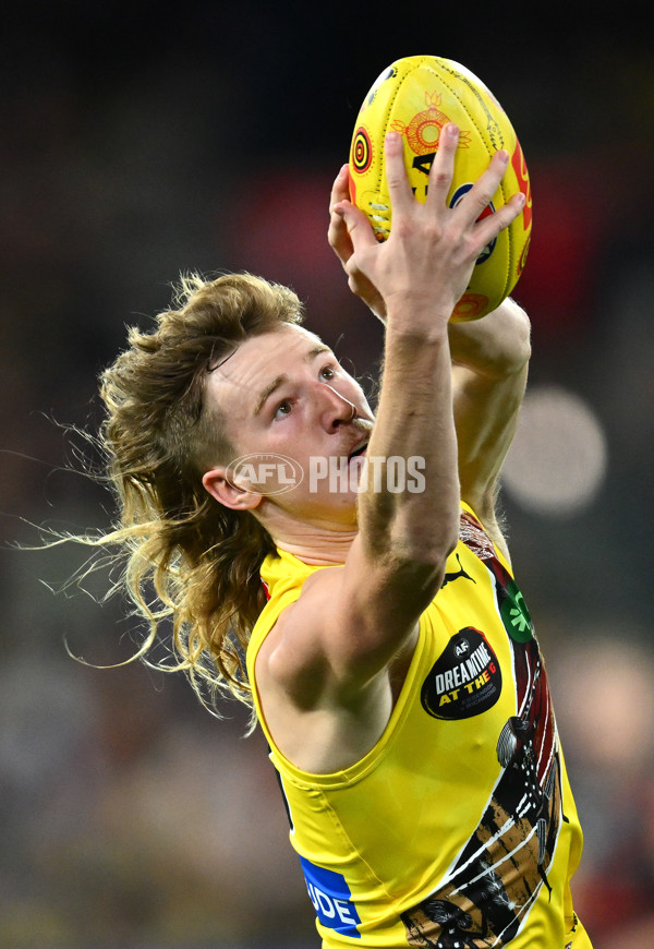 AFL 2023 Round 10 - Essendon v Richmond - A-1594067