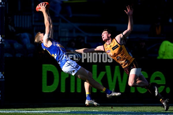 AFL 2023 Round 10 - Hawthorn v West Coast - A-1609552
