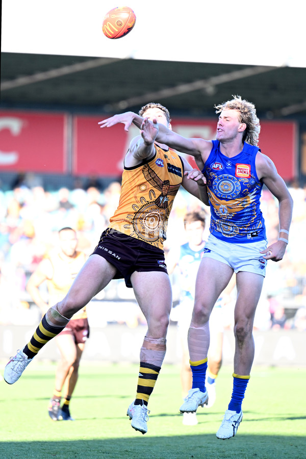 AFL 2023 Round 10 - Hawthorn v West Coast - A-1620132