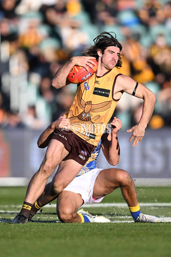 AFL 2023 Round 10 - Hawthorn v West Coast - A-1622175