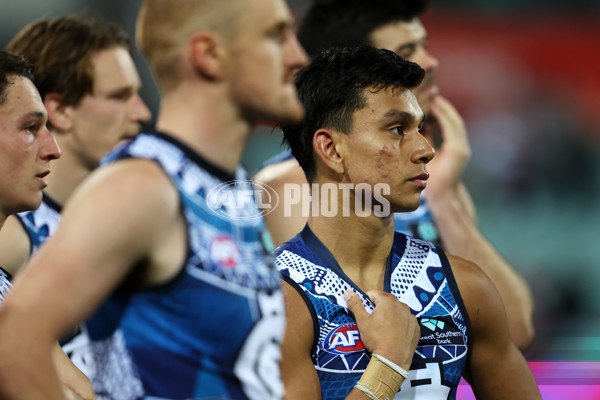 AFL 2023 Round 11 - Sydney v Carlton - A-1649134