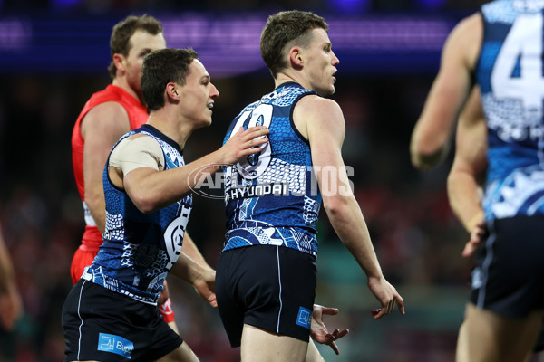 AFL 2023 Round 11 - Sydney v Carlton - A-1651452