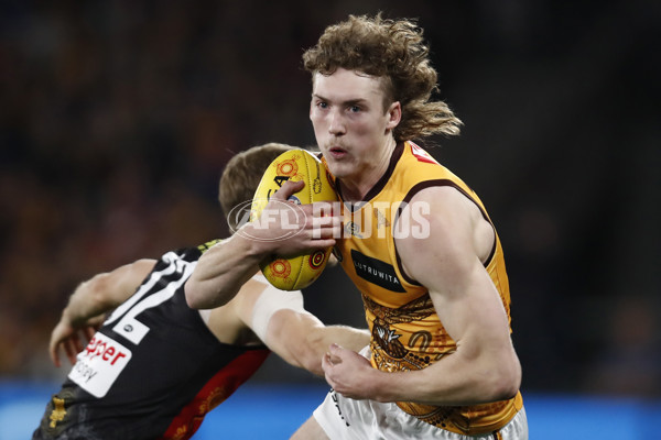 AFL 2023 Round 11 - St Kilda v Hawthorn - A-1651515