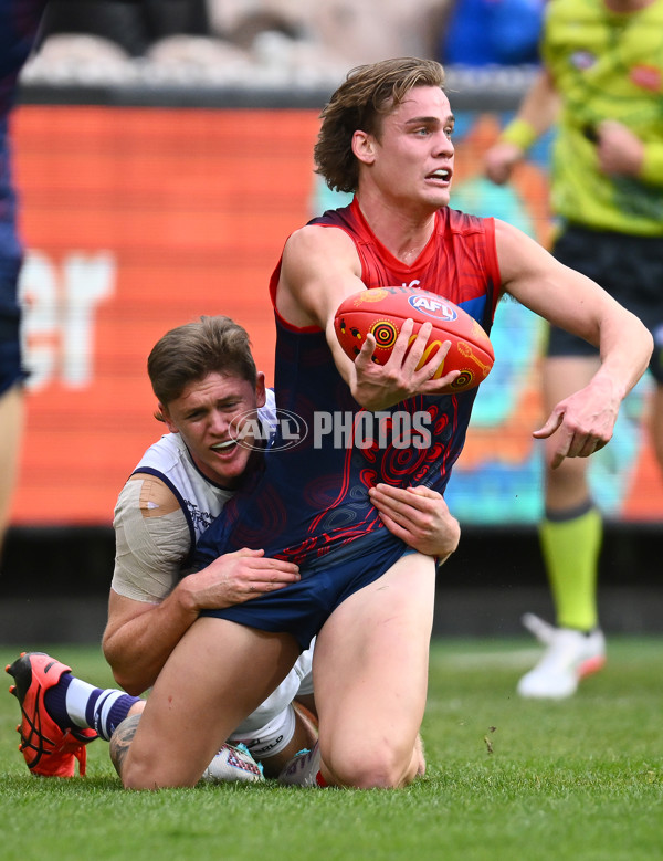 AFL 2023 Round 11 - Narrm v Walyalup - A-1654251