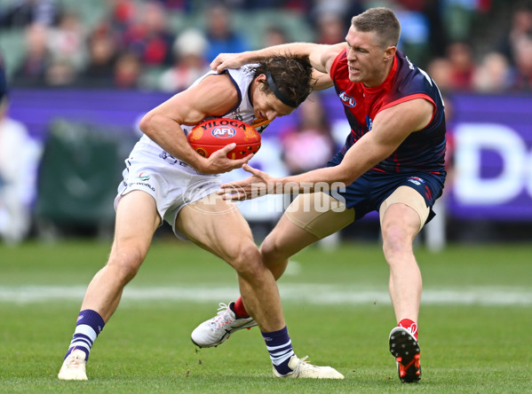 AFL 2023 Round 11 - Narrm v Walyalup - A-1654253