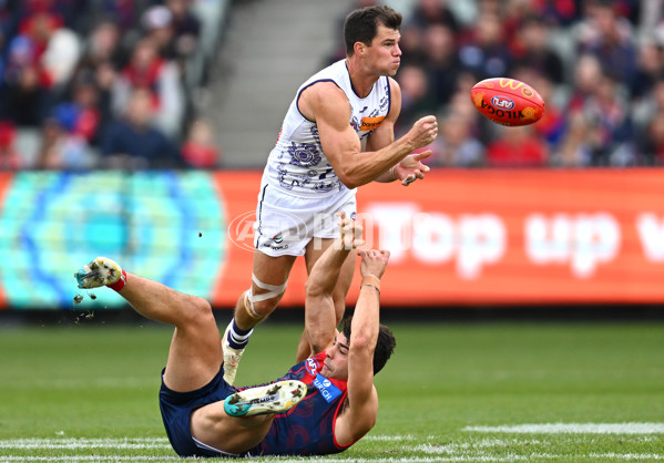 AFL 2023 Round 11 - Narrm v Walyalup - A-1656019