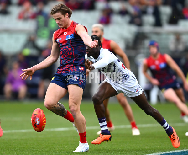 AFL 2023 Round 11 - Narrm v Walyalup - A-1656031