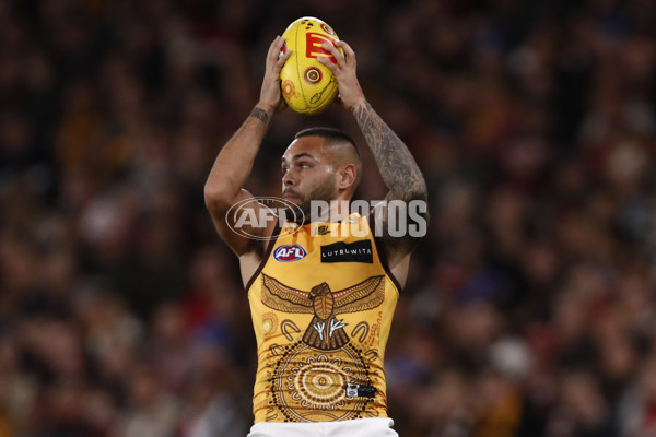 AFL 2023 Round 11 - St Kilda v Hawthorn - A-1659377