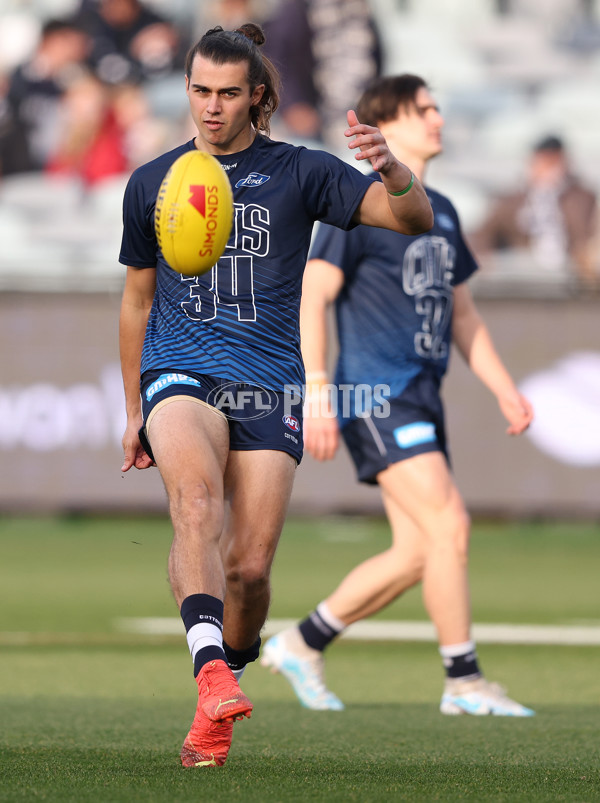 AFL 2023 Round 11 - Geelong v GWS - A-1659419